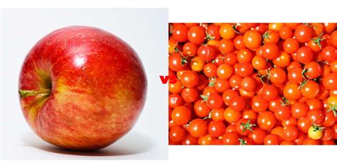 are tomatoes similar to apples